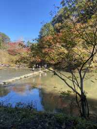 【秋の絶景】千葉の養老渓谷で秋の紅葉を味わってきた！