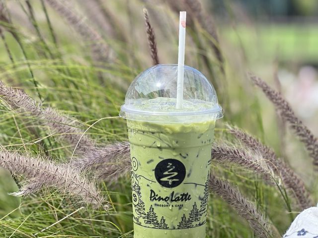 เที่ยวคาเฟ่ วิวสวยเขาค้อ เพชรบูรณ์ 