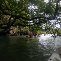 Langkawi Mangrove Kayaking Experience 