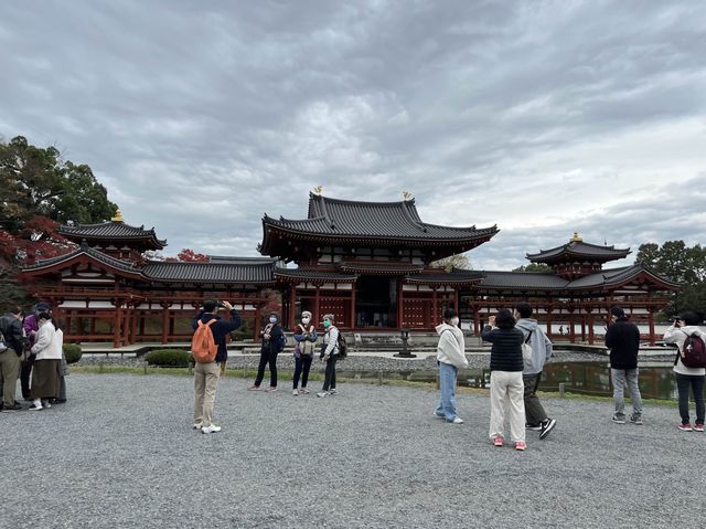 日本京都近千年的世界遺產｜平等院