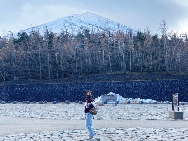 The Land of Mt. Fuji Yamanashi