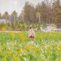 🌺눈과 동백의 아름다운 조화 [제주, 휴애리]