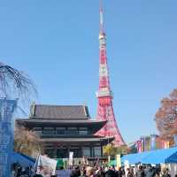 The view of Tokyo tower