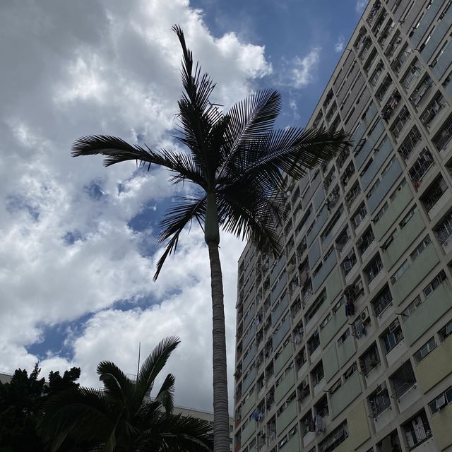 彩虹邨