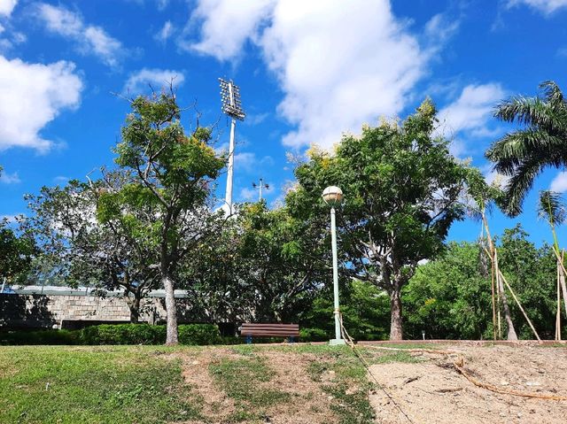 【新北】新莊景點|運動賽事場地|新莊體育館