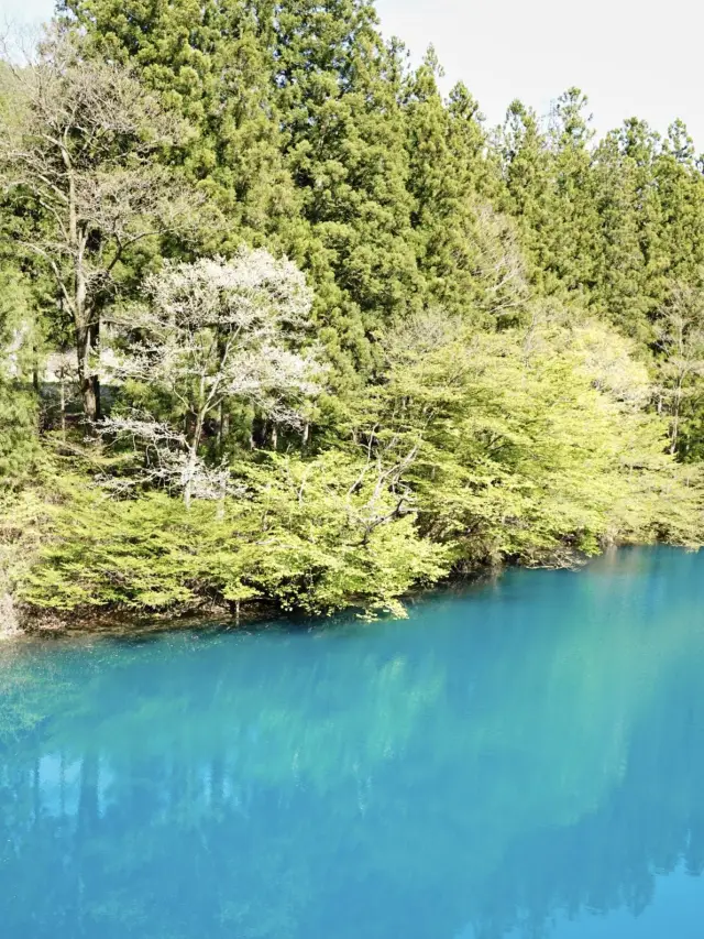 [Gunma] An overwhelmingly blue river