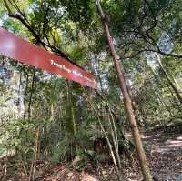 Macritchie Treetop Walk