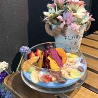 【色彩繽紛魚缸樂｜📍EverShine】