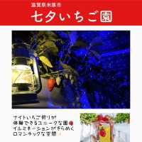 関西のいちご狩りスポットまとめ6選