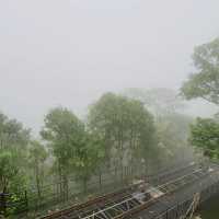 香港好去處 ～ 太平山的仙境 