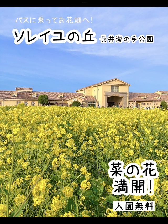 お得なきっぷ♪みさきまぐろきっぷでお出かけ🐟