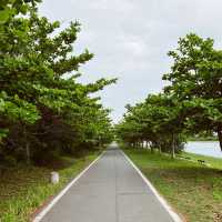 湖水藍天像畫一般的美景｜台東活水湖｜散步環湖讓人心曠神怡