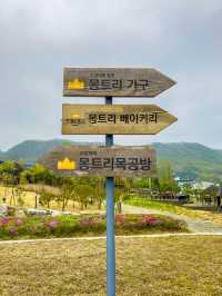 광명동굴 왔다면 이곳은 꼭! 몽트리베이커리🥐