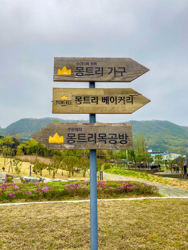 광명동굴 왔다면 이곳은 꼭! 몽트리베이커리🥐