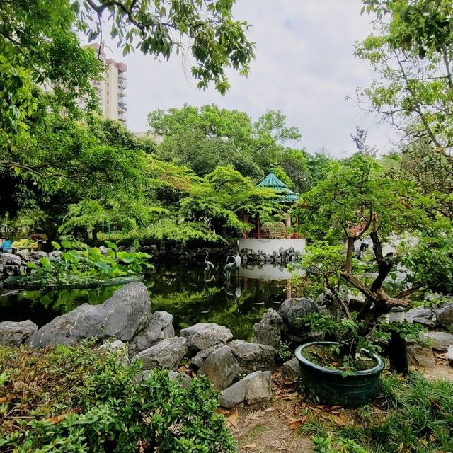香港好去處 ～ 荔枝角公園 