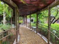 宮廷劇御用取景場地~荔枝角公園🏞️