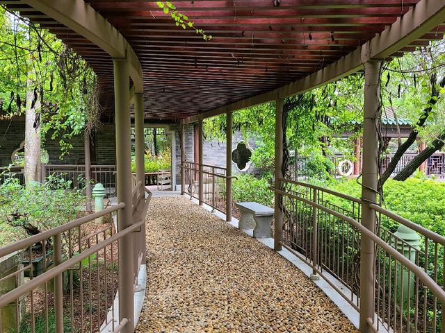 宮廷劇御用取景場地~荔枝角公園🏞️