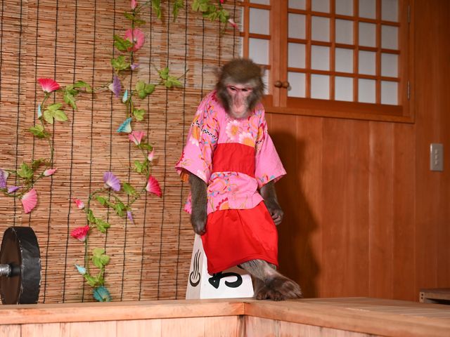 おさ湯