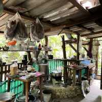 คาเฟ่ธรรมชาติ “ที่นี่บางเบาะ ป่าตอง”
