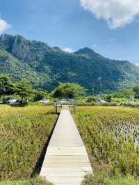 หุบป่าตาด bike camp คาเฟ่สุดชิคสายธรรมชาติ