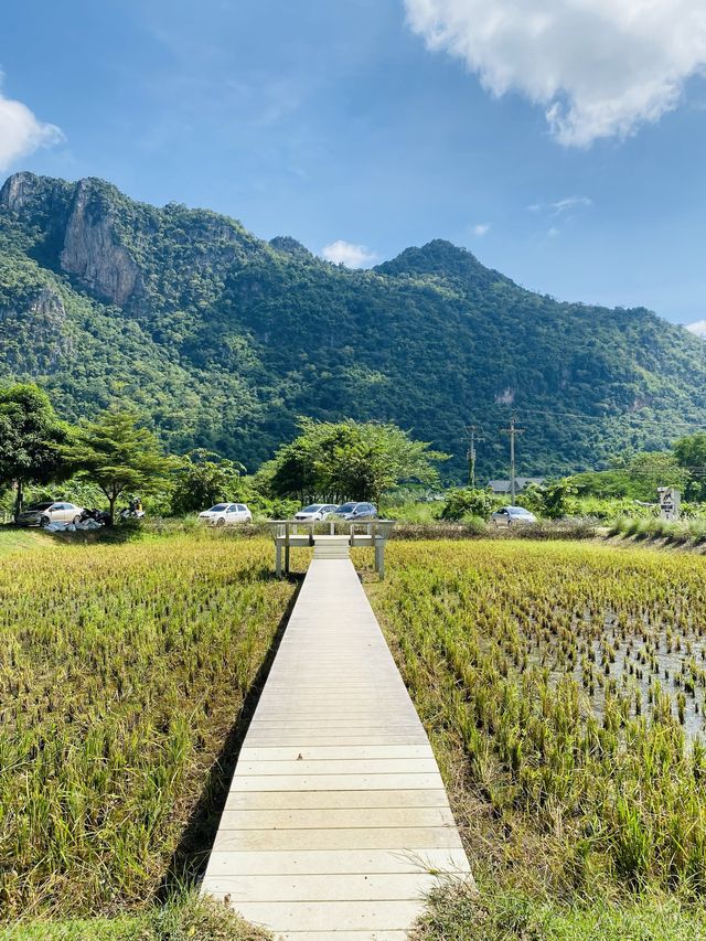 หุบป่าตาด bike camp คาเฟ่สุดชิคสายธรรมชาติ