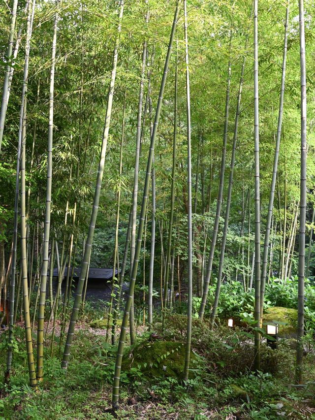 竹泉荘