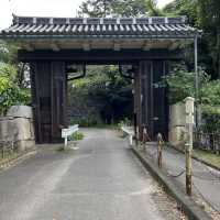 【愛知】名古屋城を取り囲む自然豊かな公園