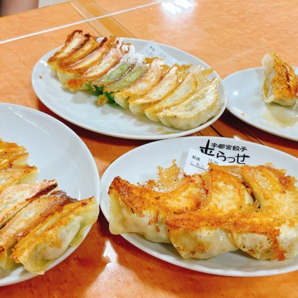 【来らっせ】宇都宮中の餃子が集まるお店