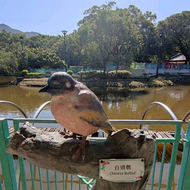 非常有立體感的天后橋🎢