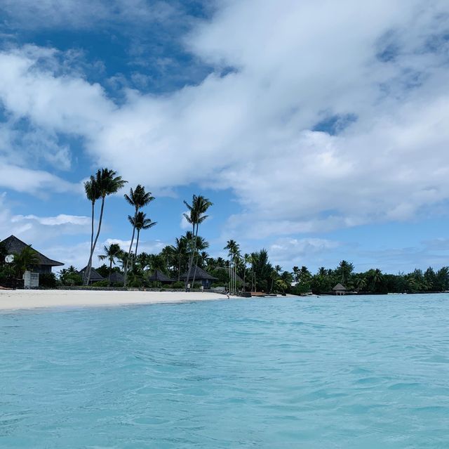 French Polynesian dream