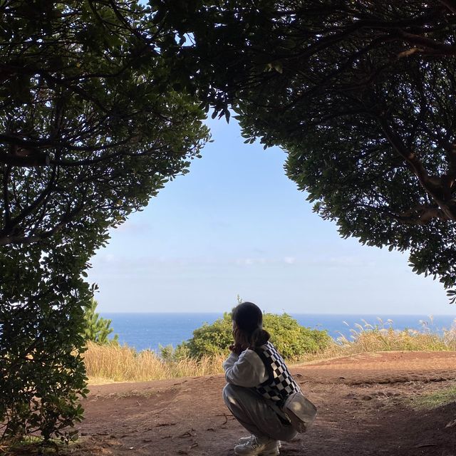 키세스존으로 유명한 “도두봉”
