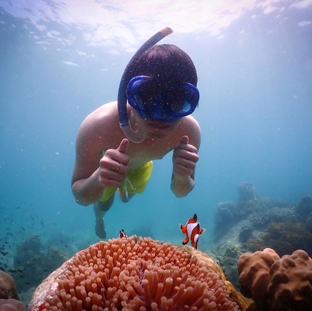 ชู~วี~ดู~วา จะพาเธอไปดำน้ำดู ปลาการ์ตูน 🐠