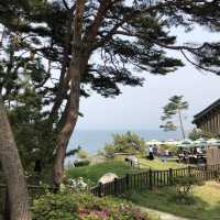 이색적인 절, 해안가 옆에 위치한 낙산사