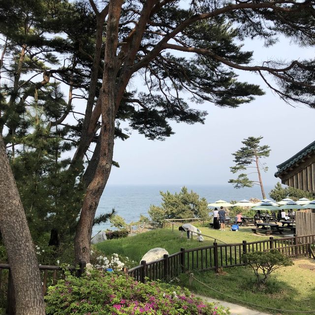 이색적인 절, 해안가 옆에 위치한 낙산사