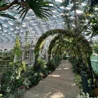 A great experience at Canopy Park 