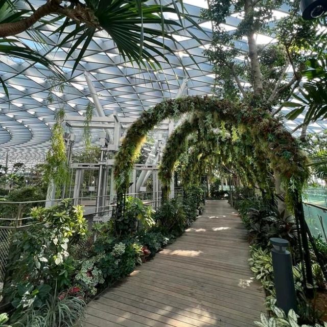 A great experience at Canopy Park 
