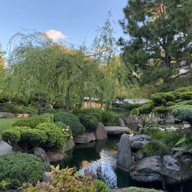 Cute little garden in South Terrace ⛲️