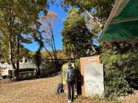 Autumn 🍂 foliage with lovely hiking trail 