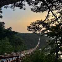 울산의 명소 “울산대왕암공원”