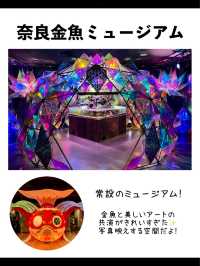 【奈良】行ってよかった奈良の観光スポット7選
