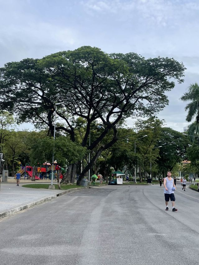 방콕여행 호주같은 룸피니공원🌳🌴