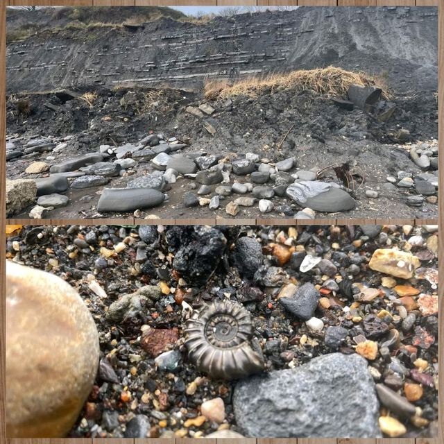 凡人去考古～英國南部Jurassic Coast