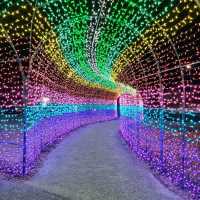 千葉県！ドイツ村のイルミネーションその③