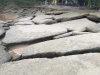 สุสานหอย 75 ล้านปี