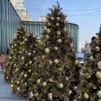 K11 Musea 天台花園聖誕市集🎄