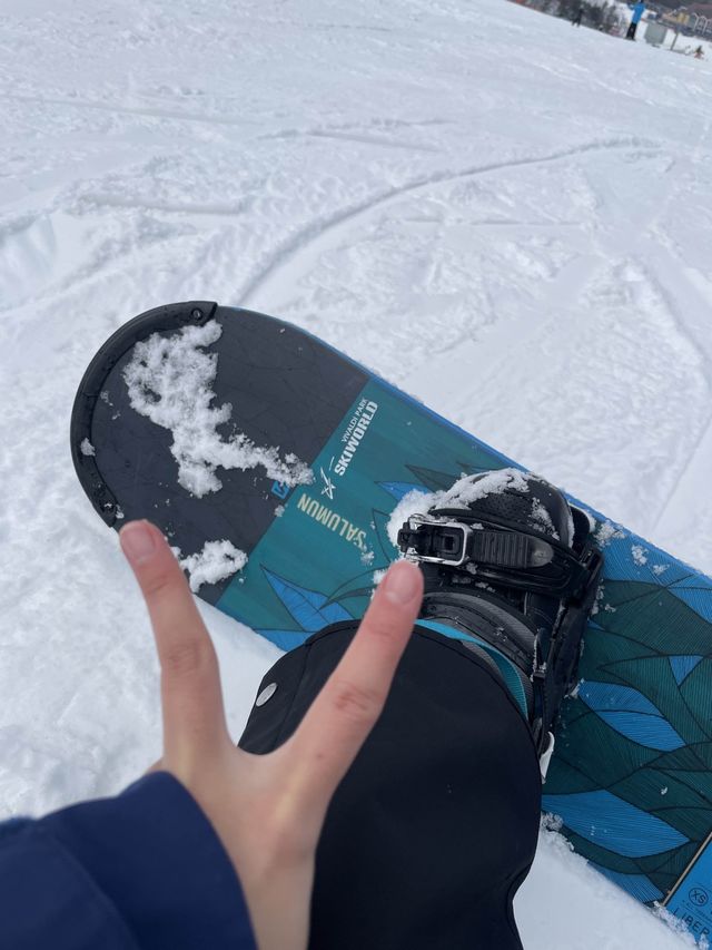 보드 초보도 즐기기 좋은 홍천 비발디파크🏂 