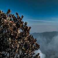 Hiking Mount Gede Pangrango