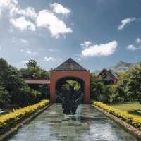 BOIS CHERI TEA FACTORY, AND LUNCH