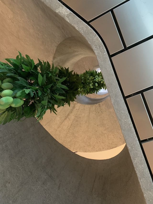 中環大館一日遊⋯⋯