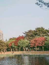 사계절 꽃을 볼 수 있는 울산대공원